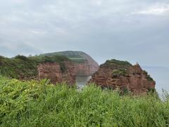 Near Ladram Bay Holiday Park